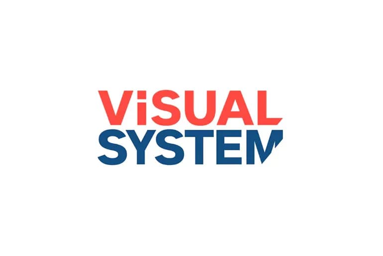 Visual System Group, Москва